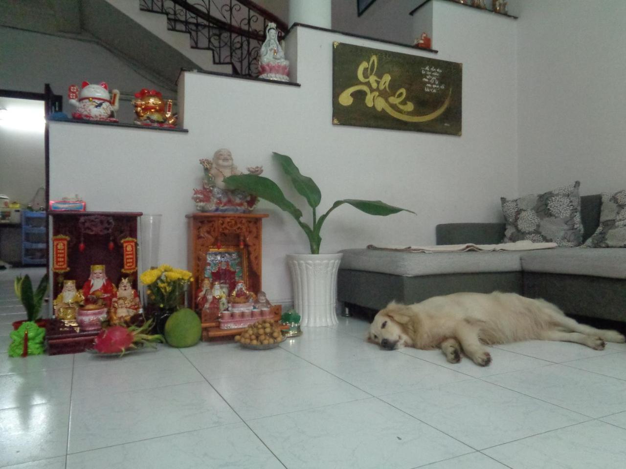 Ms Yang Homestay 2 - Home Cook Ciudad Ho Chi Minh  Exterior foto